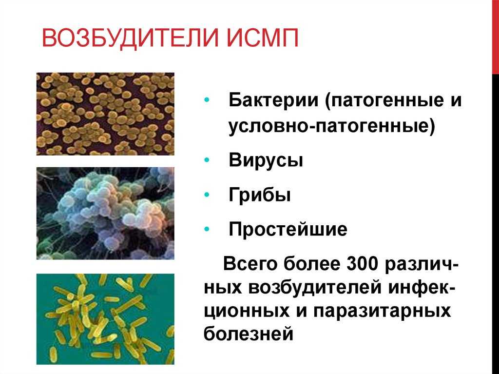 Эпизоотии и эпифитотии | 7 класс. смирнов а.т. урок, часть 1