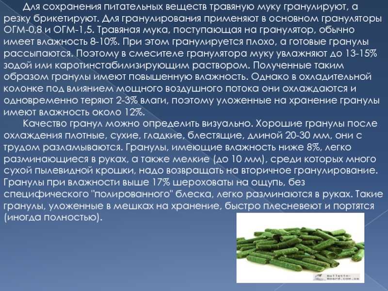 Травяная мука: кормовые достоинства, заготовка, хранение и эффективность использования в кормлении животных : реферат : ботаника и сельское хоз-во