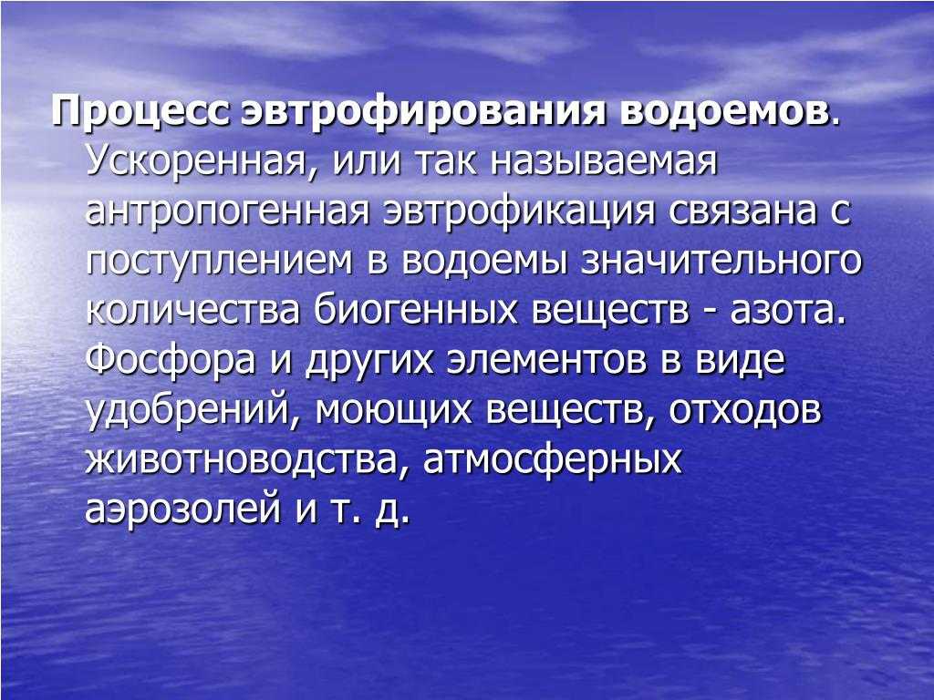 Изучение причин зарастания водоёма и разработка методов его очистки | авторская платформа pandia.ru