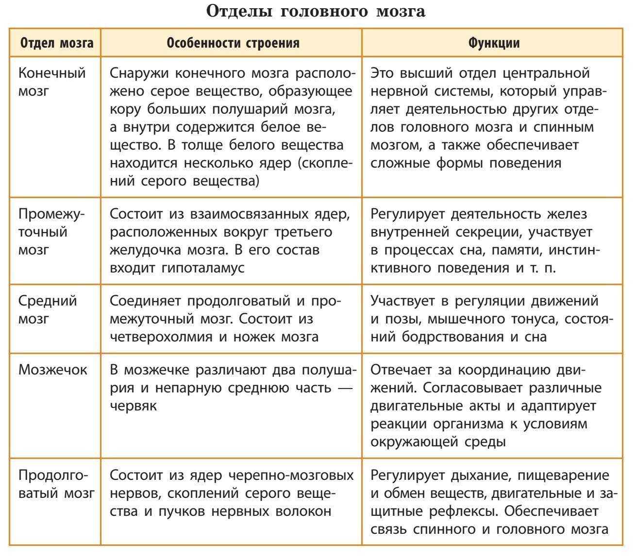 Человек