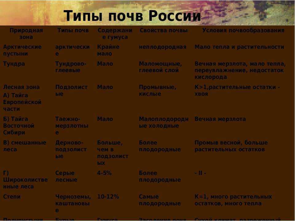 Что такое фактор почвообразования? какие существуют факторы почвообразования?