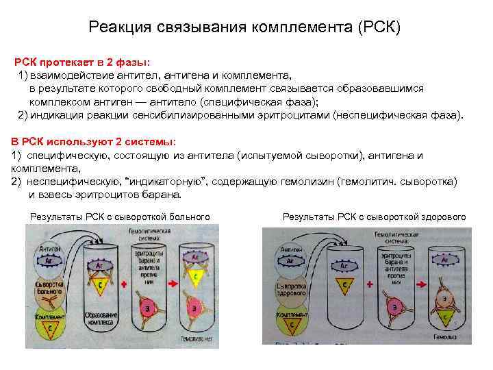 Иммунология