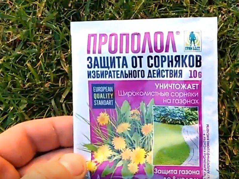 Сорняки на огороде: фото, виды, описание