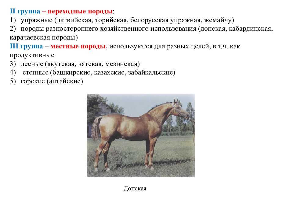 Что такое тавро.