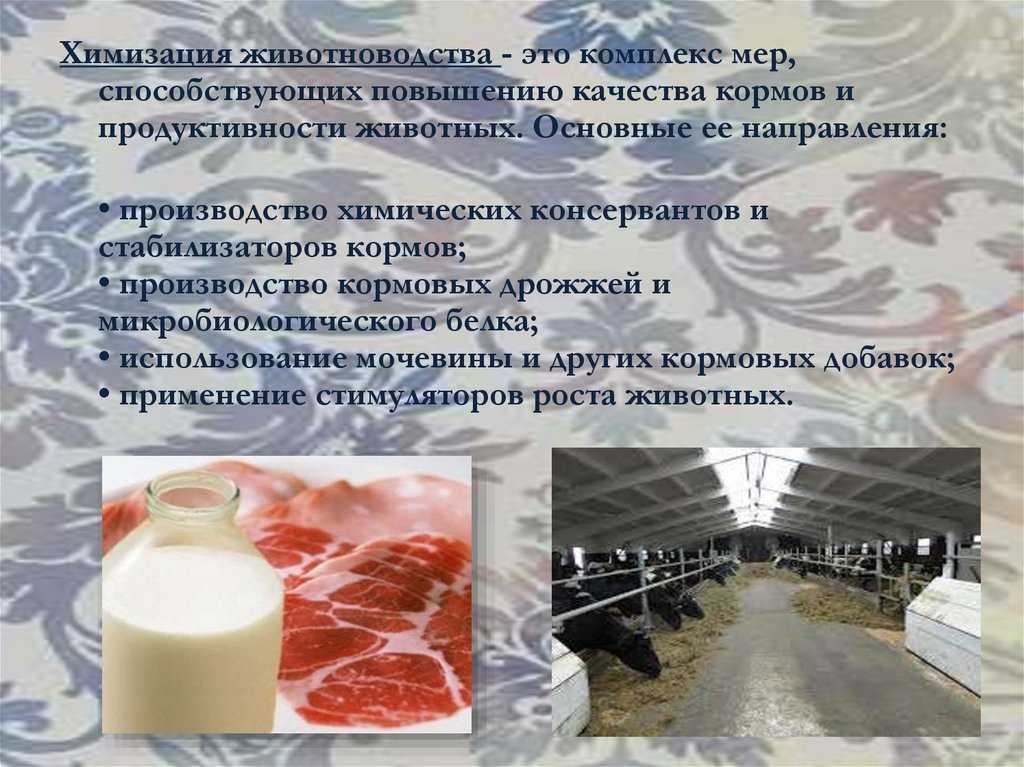 Химизация сельского хозяйства это кратко