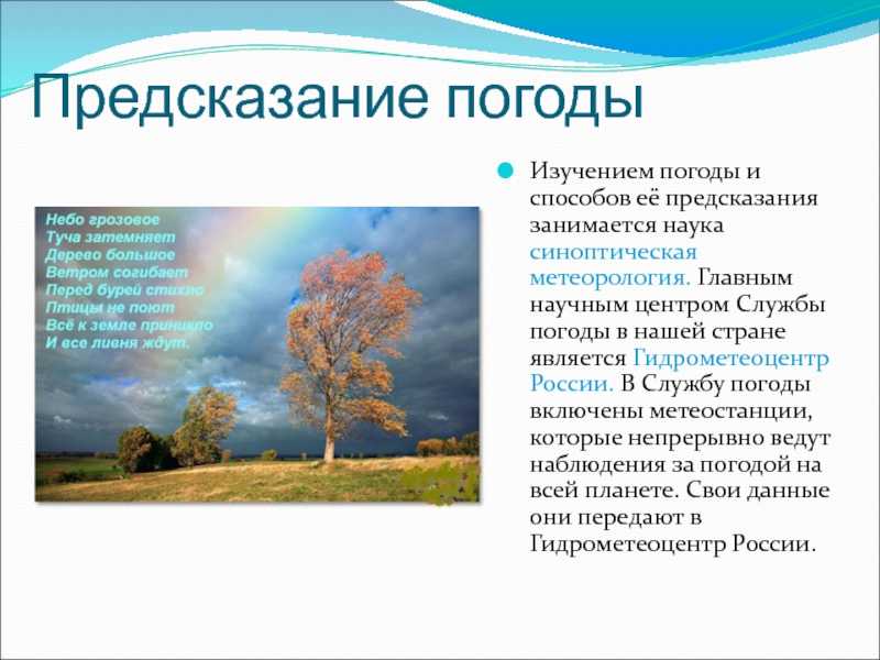 Народные приметы для предсказания погоды | статья в журнале «юный ученый»