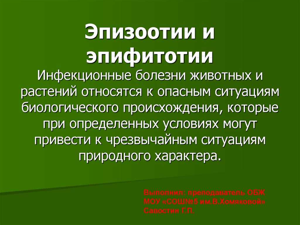 Презентация, доклад по экологии по теме эпифитотии