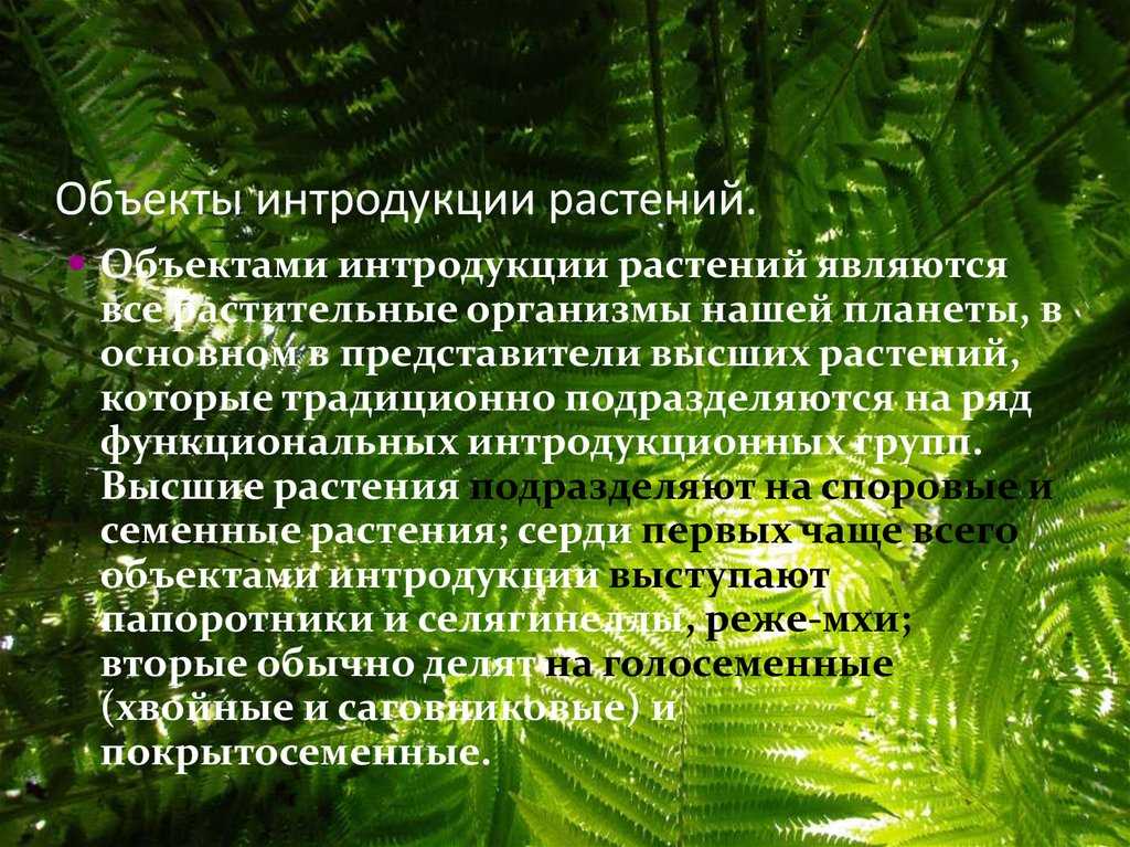 Изучение ячменя гривастого (hordeum jubatum) – дикого родича культурного ячменя. реферат. биология. 2014-06-29
