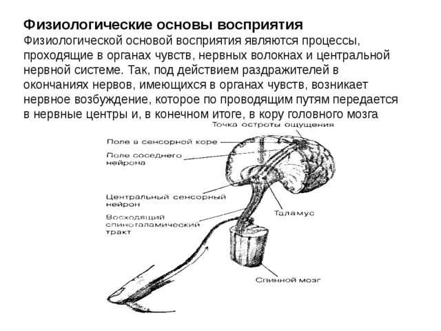 Трансдукция
 - большая энциклопедия нефти и газа, статья, страница 1