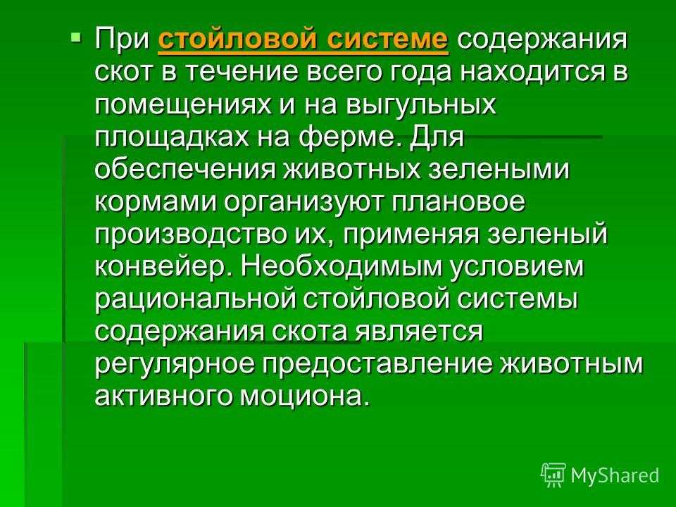 Особенности содержания коровы в личном хозяйстве