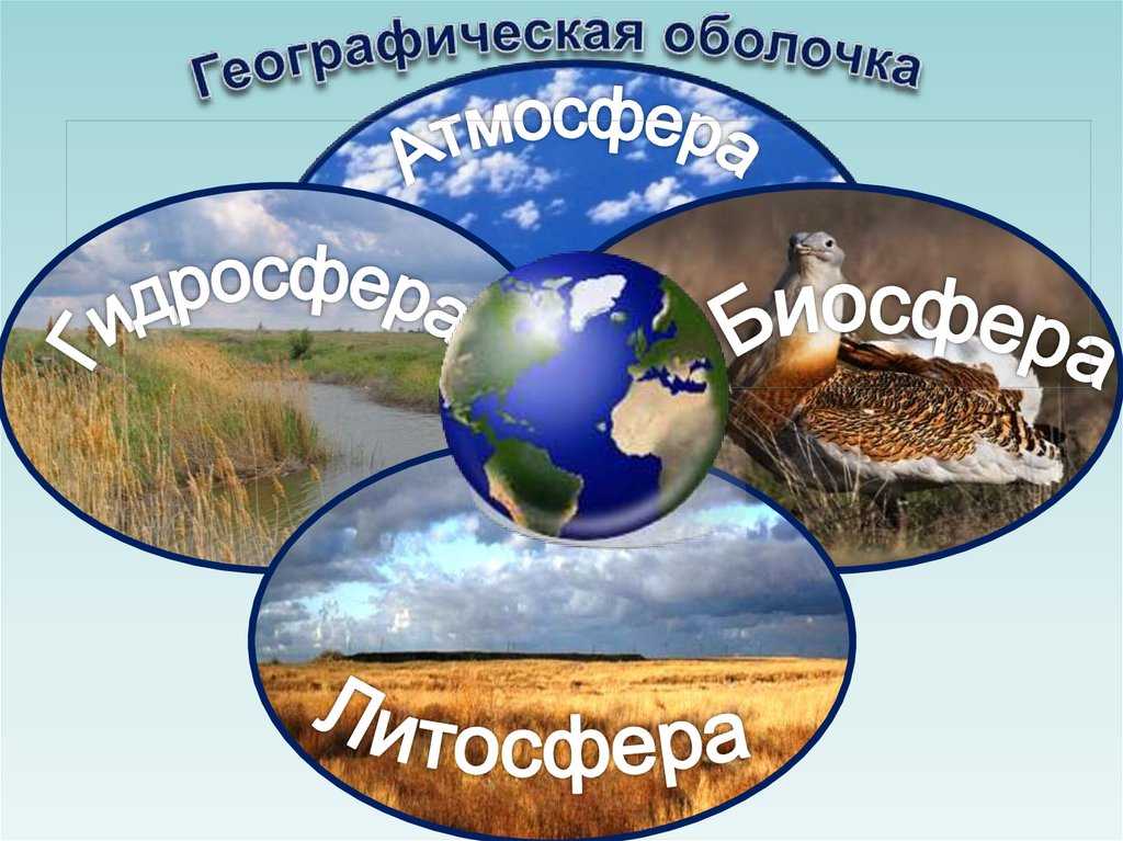 (решено) объект, предмет, задачи, основные термины и понятия (географическая оболочка, ландшафтная сфера, биосфера, экосфера, техносфера, окружающая среда, ноо…