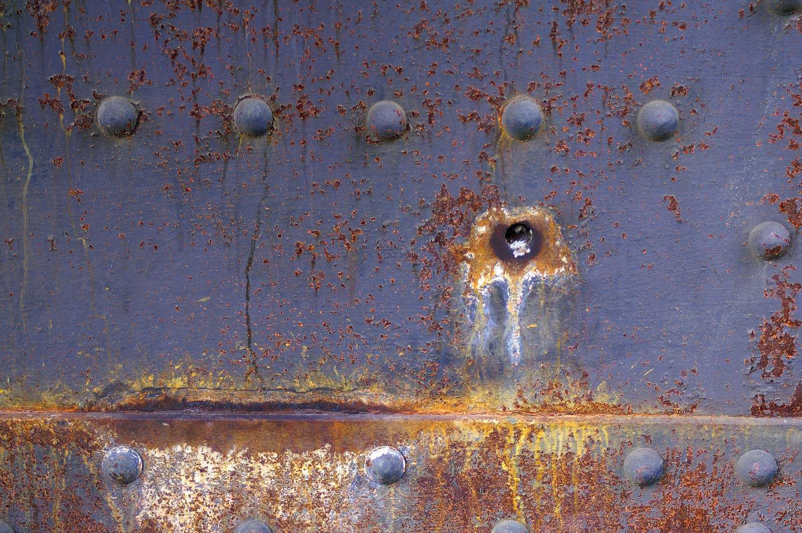 Ржавчина (грибок) - rust (fungus) - dev.abcdef.wiki