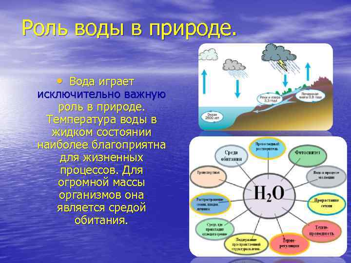 Значение воды в жизни растений. испарение воды листьями.