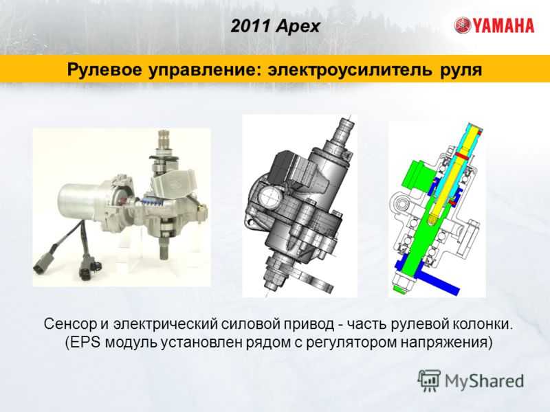 5.1. мутации