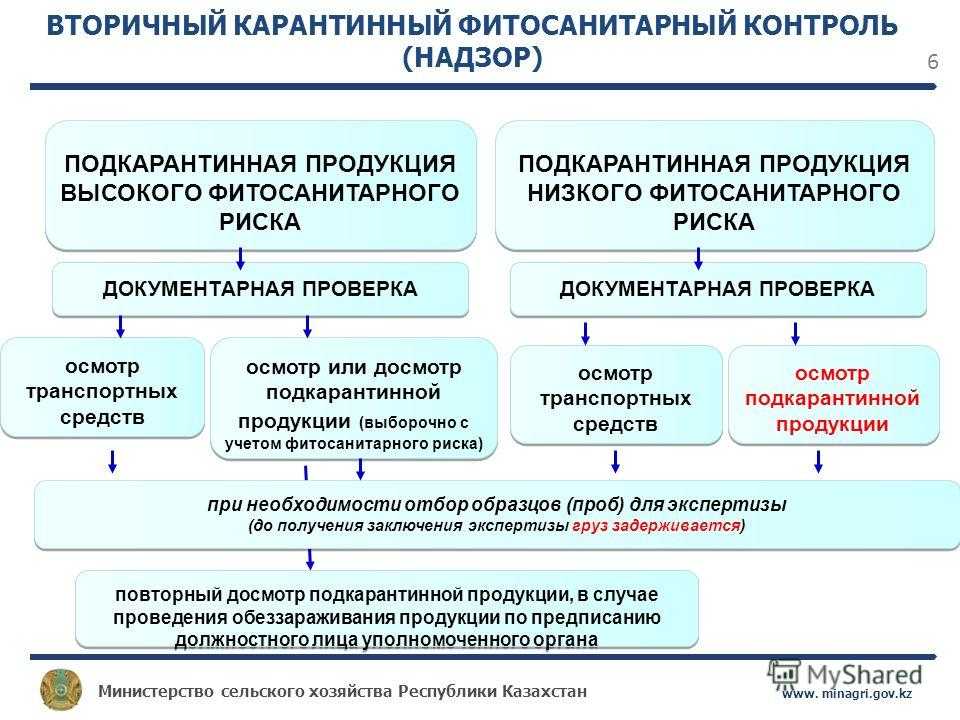 Карантинный фитосанитарный контроль: особенности проведения, требования и примеры