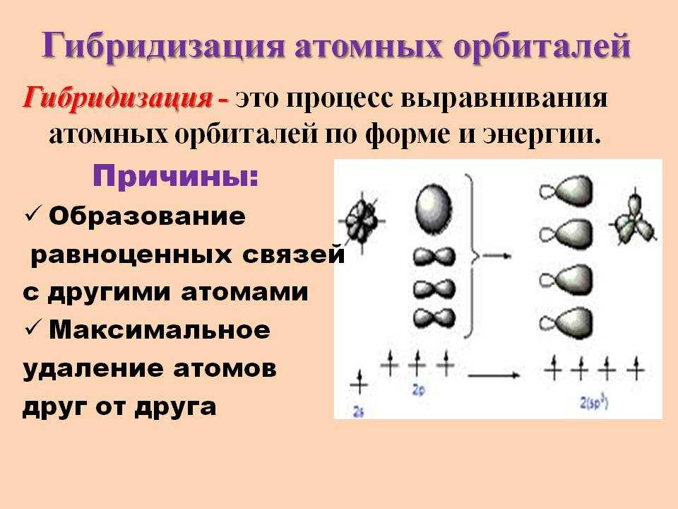 Молекулярная биотехнология микробиологических системмолекулярная диагностикасистемы днк-диагностики