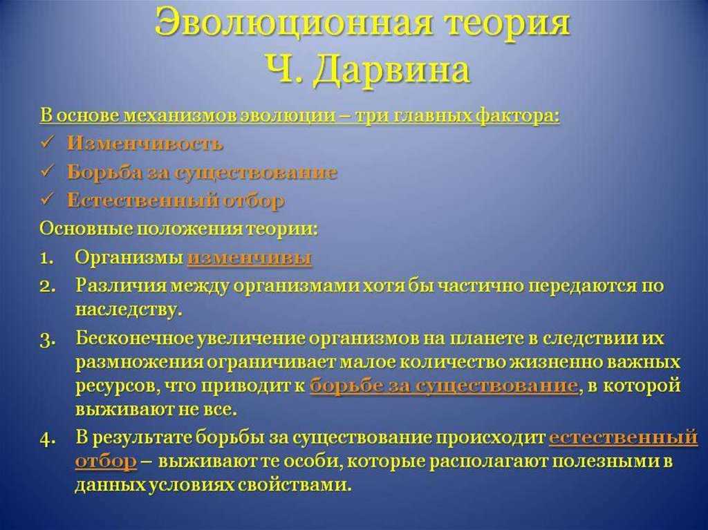Эволюция — что это такое и какие этапы развития известны человеку