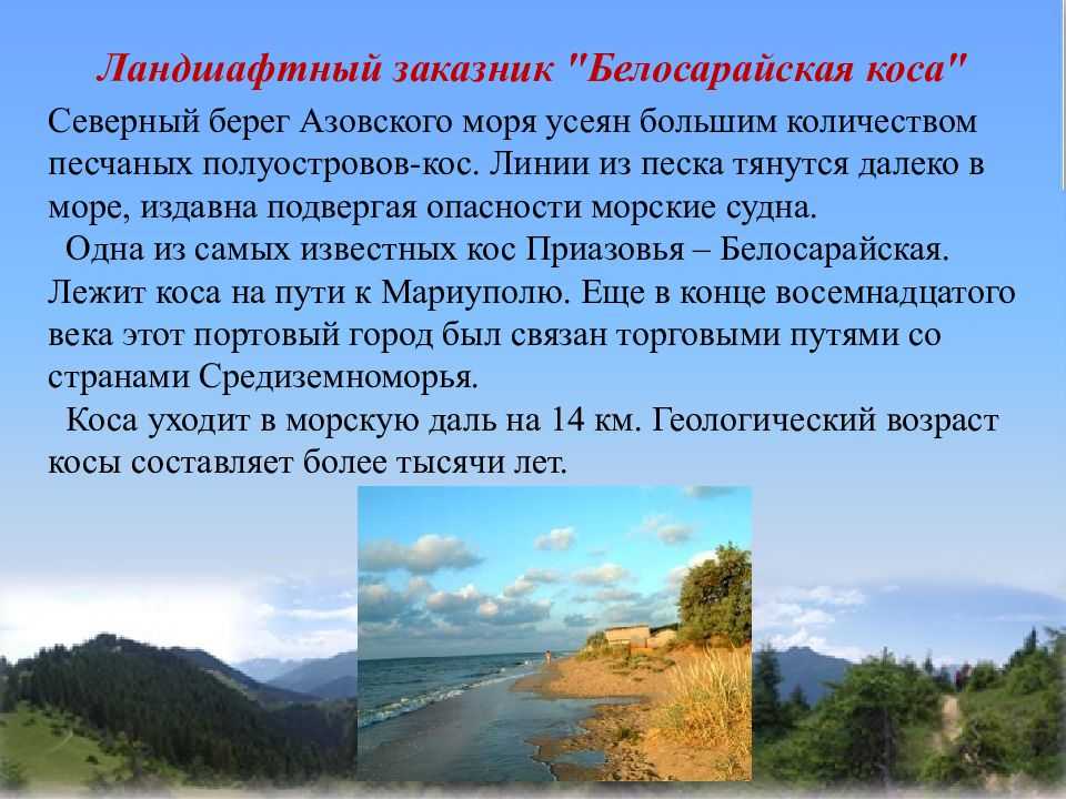 Заповедные места донбасса презентация, доклад, проект