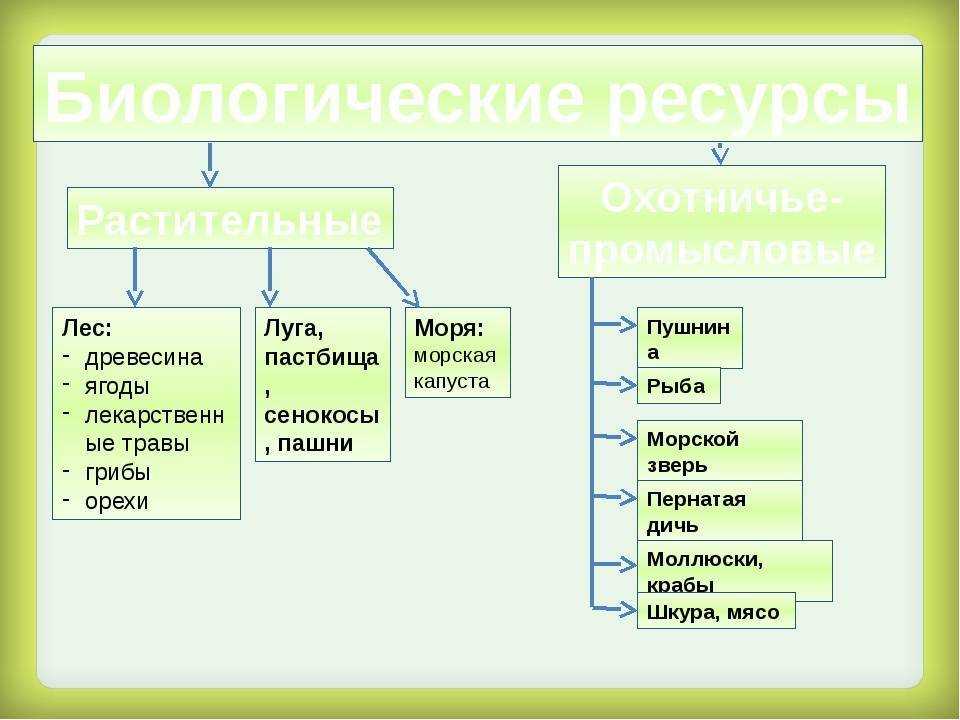 Ресурсы мирового океана и перспективы их использования - готовый реферат