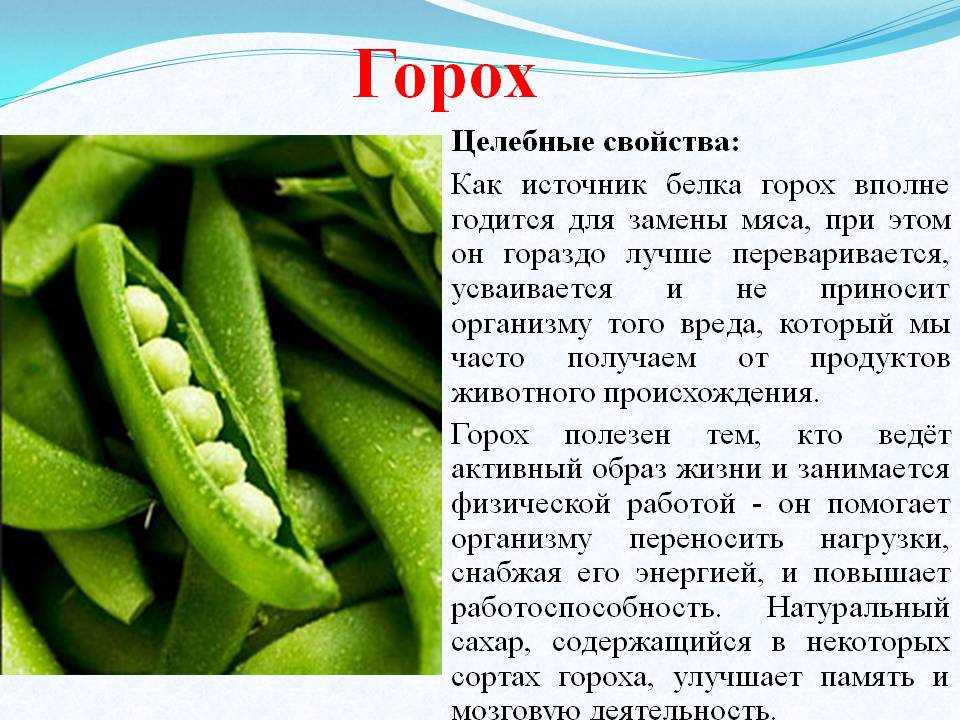 Удобрения для гороха: виды, какие лучше и правила внесения