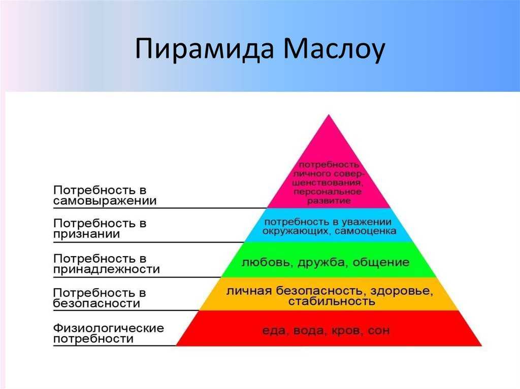 Какие потребности у животного
