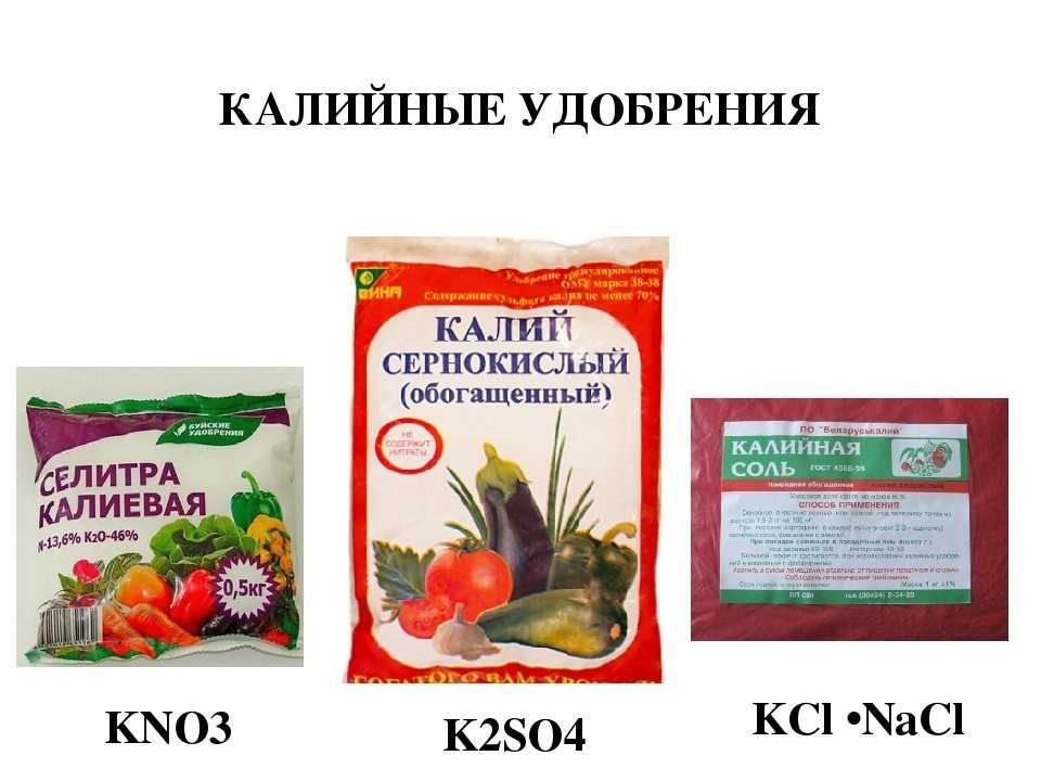 Калийные удобрения: какие виды бывают, их значение и применение