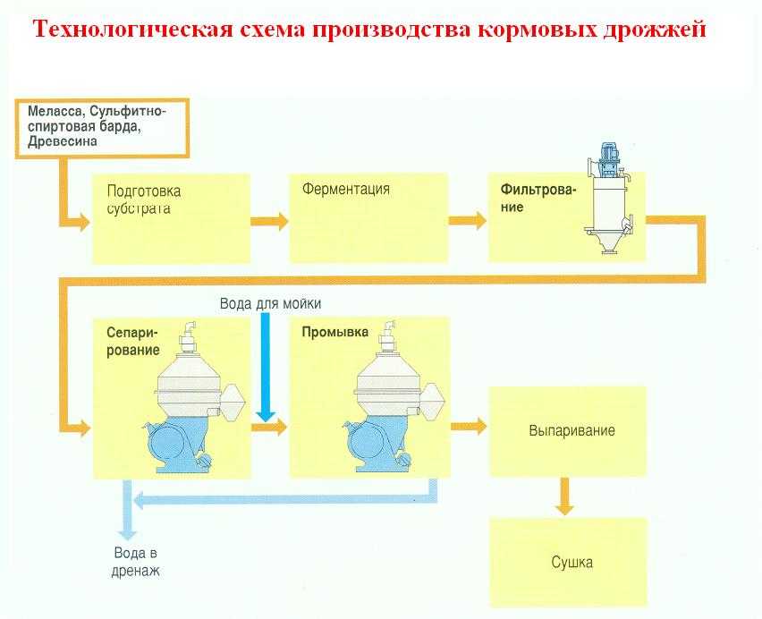 Кормовые дрожжи: состав, виды, для крс, свиней, кур