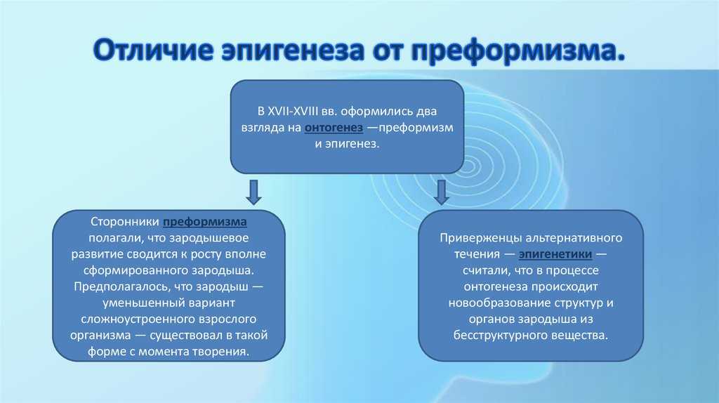 Эмбриология – определение, история и карьера | fissi