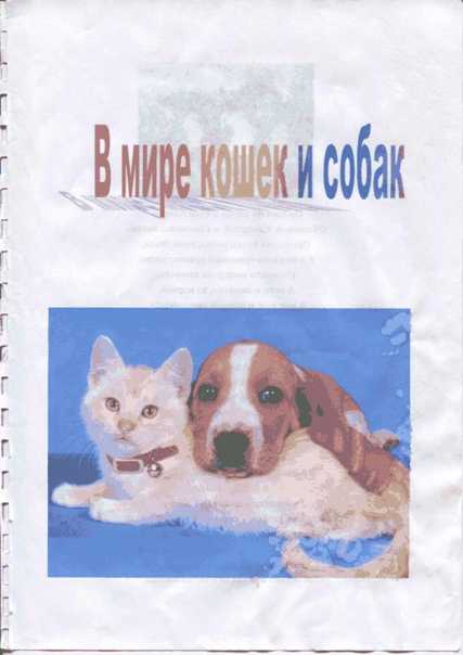 Птенец кукушки: описание, фото. зачем и в какие гнезда кукушка откладывает яйца?