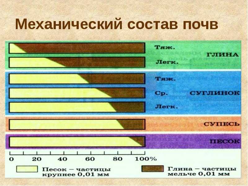Основные закономерности распространения почв. классификация почв