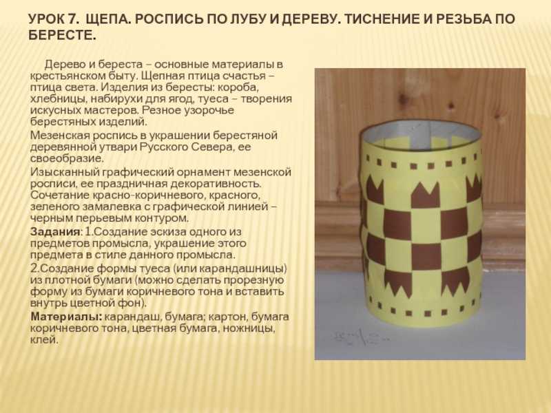 Состав, строение и функции луба