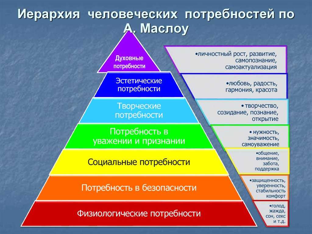 Потребности человека и животных: 4 общие и 1 главное отличие