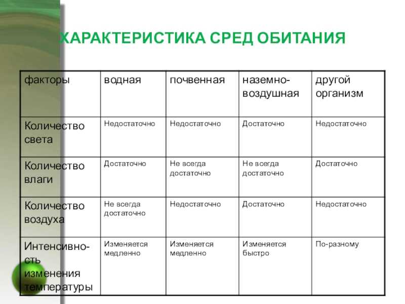 Экологические факторы водной среды: как они влияют на живой мир