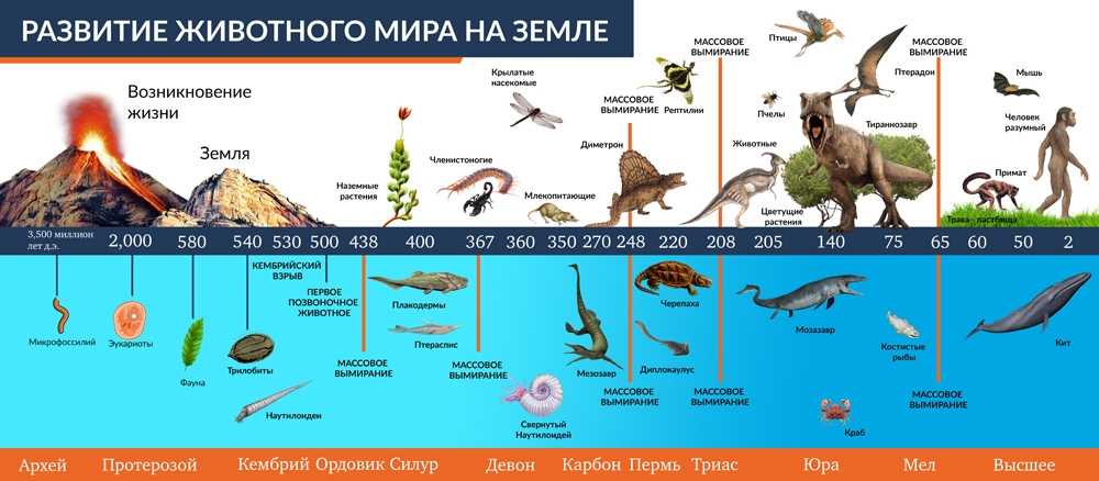 (решено) выберите термины, которые описывают структуры, имеющие животное происхождение.... | chatgpt в россии