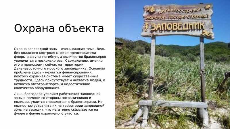 Даурский заповедник