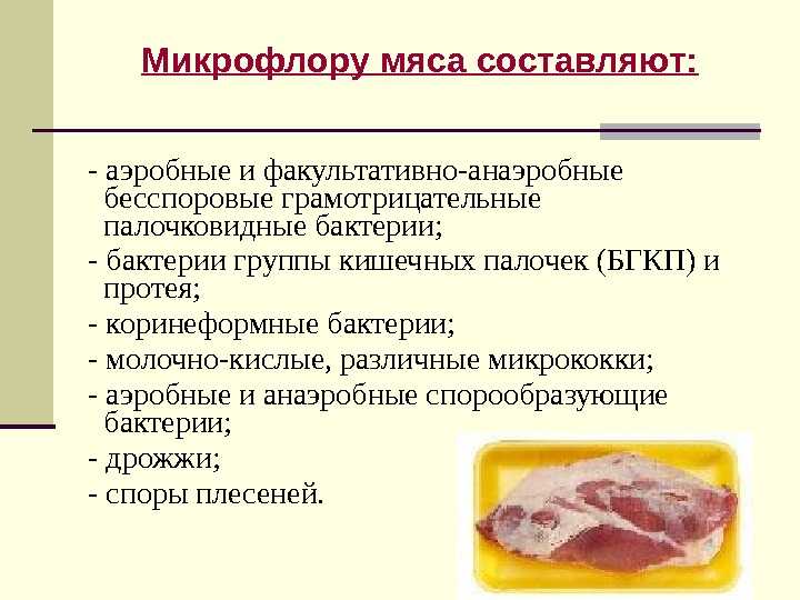 Шпаргалки по ветеринарно-санитарной экспертизе - виды порчи мяса