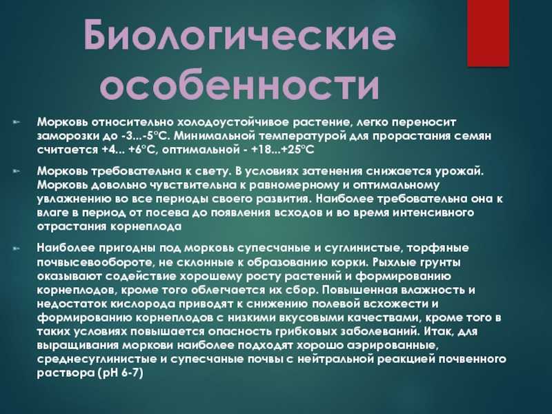 Морковь посевная - полезные свойства и противопоказания. применение, калорийность и фото моркови