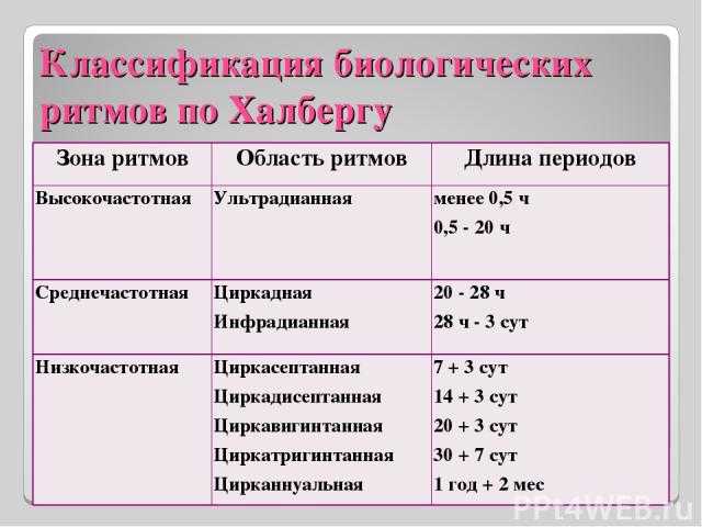 Биологические циклы
