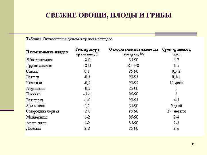 Как хранить капусту в погребе до весны: советы и рекомендации