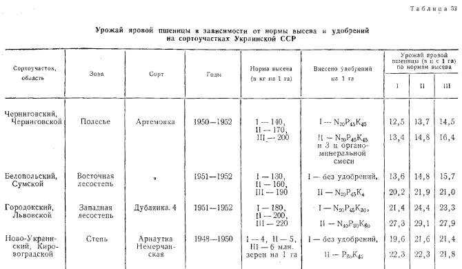 Яровая пшеница