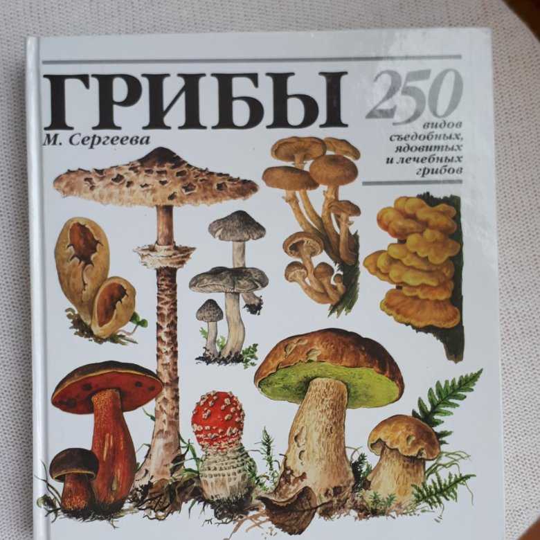 Грибы