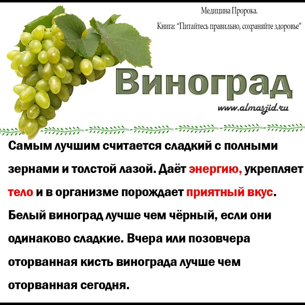 Виноград. польза и вред. полезные свойства и противопоказания. чем полезен виноград