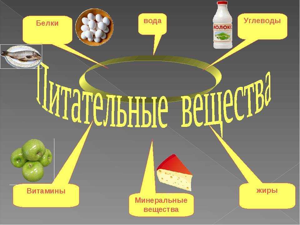 Группы питательных веществ, их роль и значение для организма человека | ladycharm.net - женский онлайн журнал