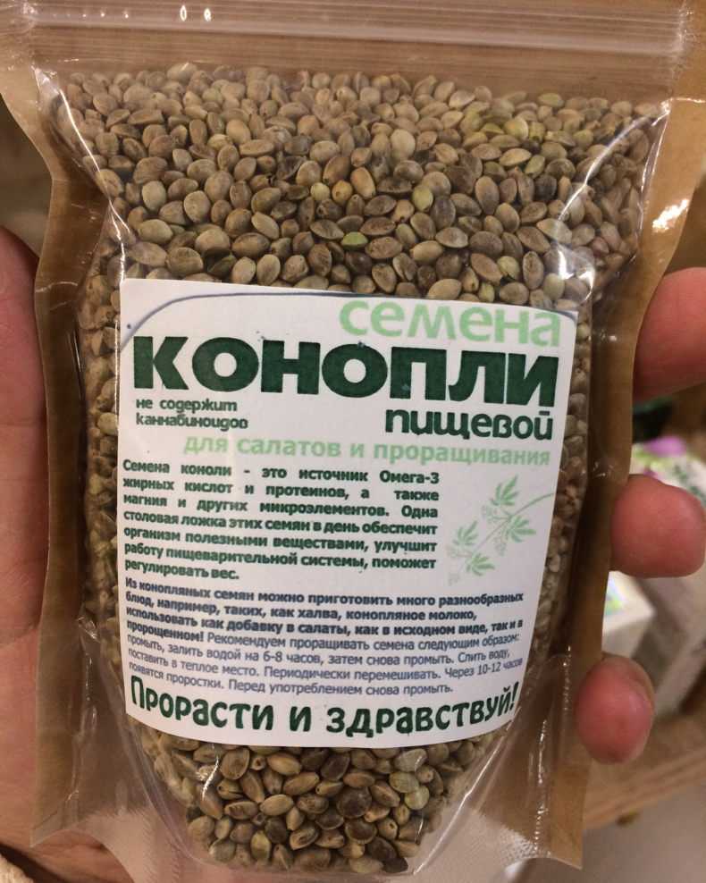 Строение семени растения, условия прорастания и дыхание семян
