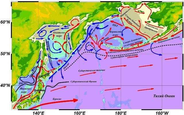 Охотское море интересные факты для детей. физико-географические условия охотского моря
