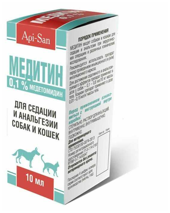 Анестезия для кошек: виды, осложнения, реабилитация_ | wwwcat.ru