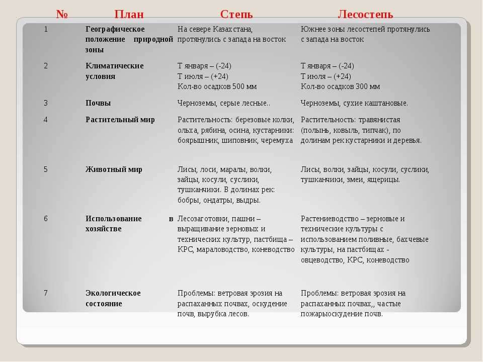 Почему в степи не растут большие деревья