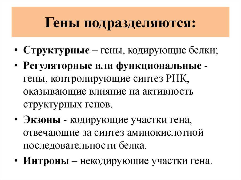 Презентация на тему "типы взаимодействия генов"