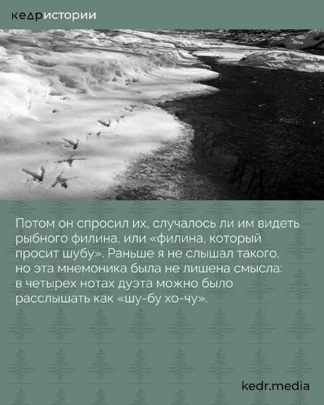 Геокриоло́гия