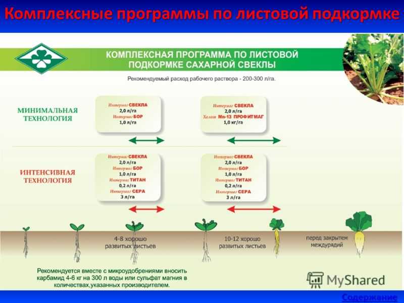 Органоминеральные удобрения для сахарной свеклы |